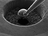 Nanodiamant